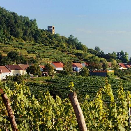 Prabatsch-Aichinger Winzergut Apartman Langenlois Kültér fotó