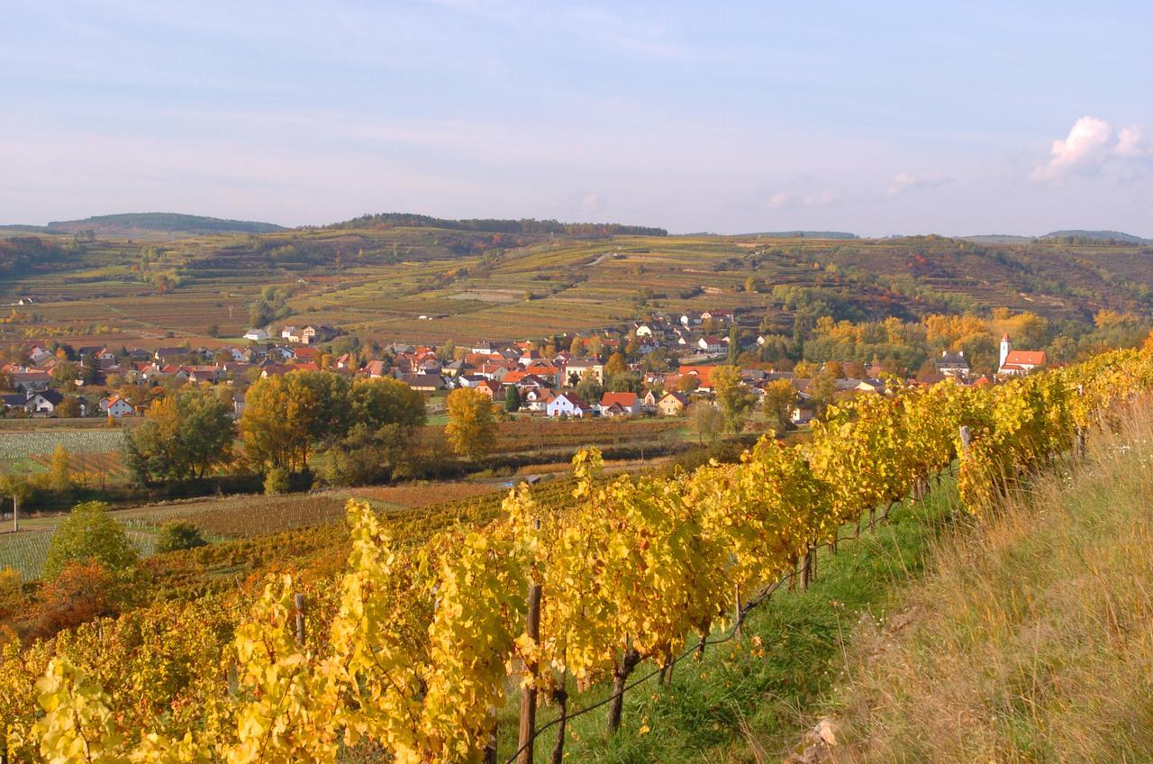 Prabatsch-Aichinger Winzergut Apartman Langenlois Kültér fotó