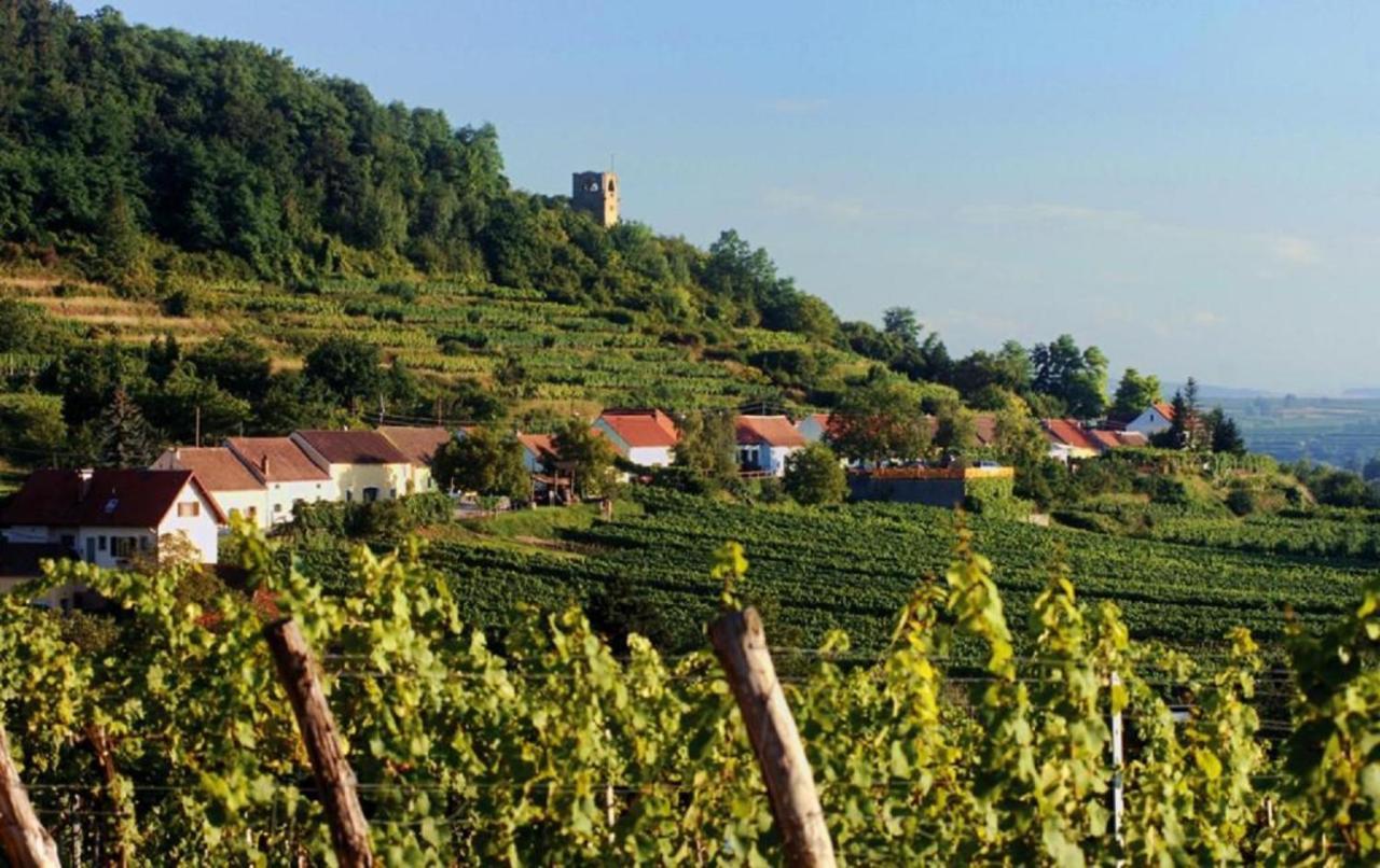 Prabatsch-Aichinger Winzergut Apartman Langenlois Kültér fotó